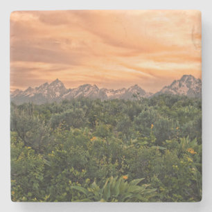Posavasos De Piedra EE. UU., Wyoming, Parque Nacional Grand Teton 1
