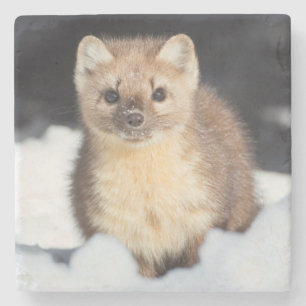 Posavasos De Piedra EE.UU., Wyoming, Parque Nacional Yellowstone