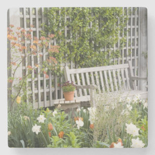 Posavasos De Piedra EEUU, Georgia, Montaña Pina. Presidente en el