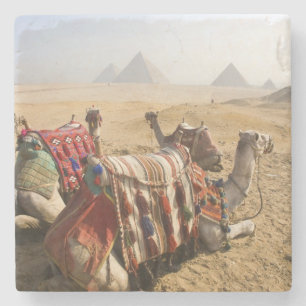Posavasos De Piedra Egipto, El Cairo. Camellos descansando
