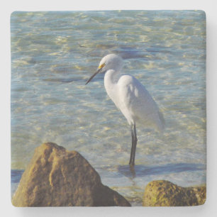 Posavasos De Piedra Egret de Snowy White