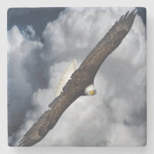 El águila calva y el cielo nublado se elevan