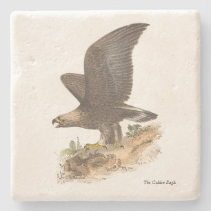 Posavasos De Piedra El águila dorada (Aquila chrysaetos) Imagen de páj