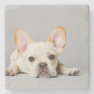 Posavasos De Piedra El Bulldog francés se desmorona