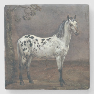 Posavasos De Piedra El caballo picazo, 1653