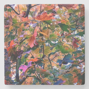 Posavasos De Piedra El cambio en hojas de otoño
