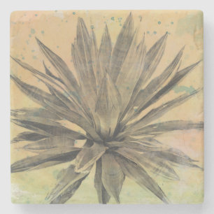 Posavasos De Piedra El desierto soña la planta verde del  