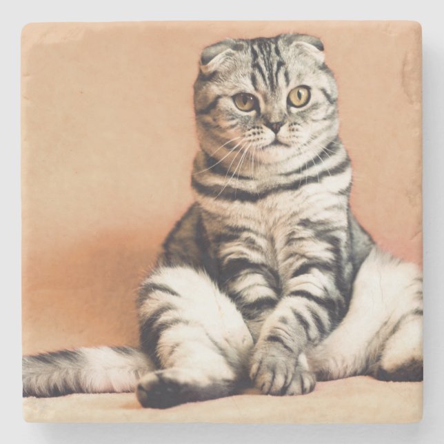 Posavasos De Piedra El Gatito Cute Se Extiende (Anverso)