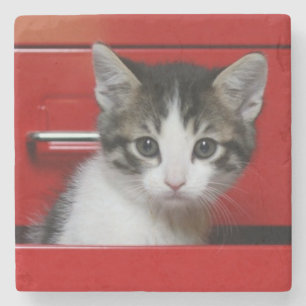Posavasos De Piedra El mirar a escondidas del gatito