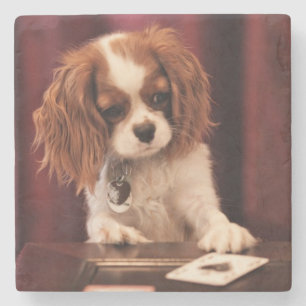 Posavasos De Piedra El perrito juega a tarjetas