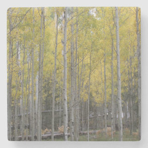 Posavasos De Piedra El resplandor amarillo de Aspen