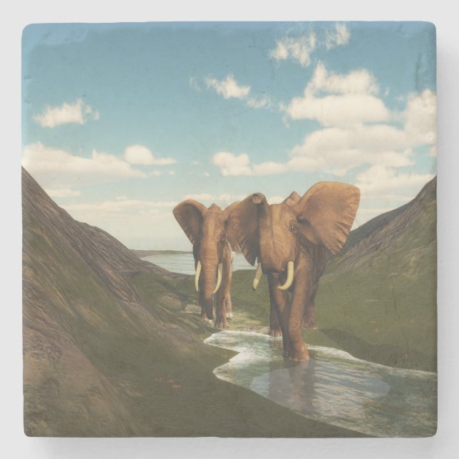 Posavasos De Piedra Elefante (Anverso)