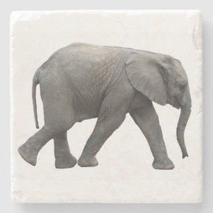 Posavasos De Piedra Elefante africano