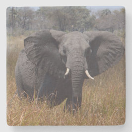 Posavasos De Piedra Elefante Con Orejas.