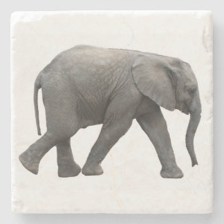Posavasos De Piedra Elefante de África