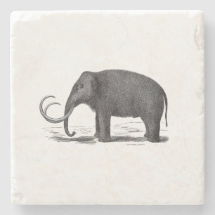 Posavasos De Piedra Elefante prehistórico del mamut lanoso
