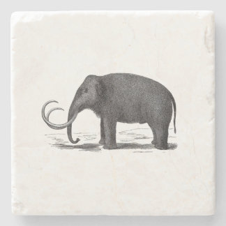 Posavasos De Piedra Elefante prehistórico del mamut lanoso