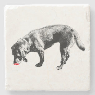 Posavasos De Piedra Elegante lengua roja Labrador Sniffing Tinta Art