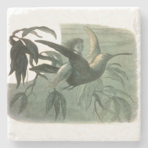 Posavasos De Piedra Elf Fairies Elves Moon Night Scene Bird Flying