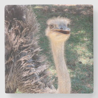Posavasos De Piedra Emu coaster
