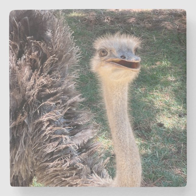 Posavasos De Piedra Emu coaster (Anverso)