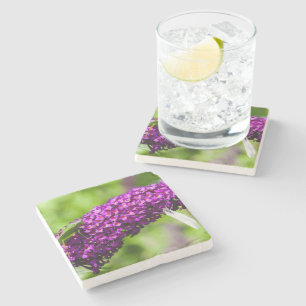 Posavasos De Piedra energía katydid