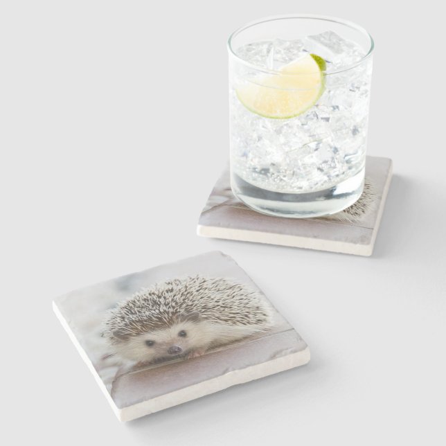 Posavasos De Piedra Erizo bebé   (Lateral)