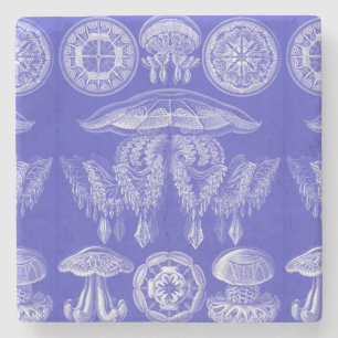 Posavasos De Piedra Ernst Haeckel Discomedusae III