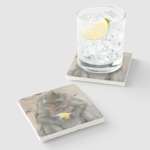 Posavasos De Piedra ¡Es mío! ... Mono Macaque tailandés salvaje