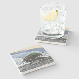 Posavasos De Piedra Escarabajo en una montaña rusa de piedra