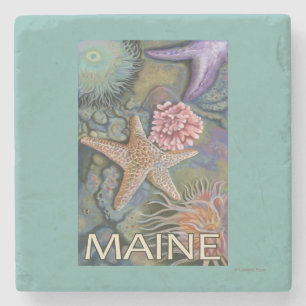 Posavasos De Piedra Escena de MaineTidepool