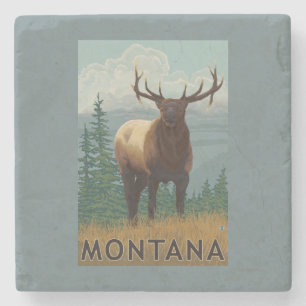 Posavasos De Piedra Escena de MontanaElk