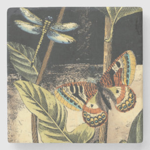 Posavasos De Piedra Escena de naturaleza oscura de Vision Studio