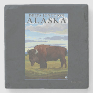 Posavasos De Piedra Escena del bisonte - empalme del delta, Alaska