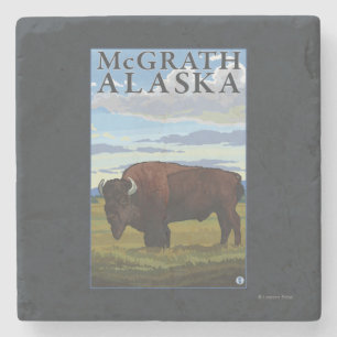 Posavasos De Piedra Escena del bisonte - McGrath, Alaska