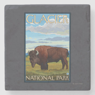 Posavasos De Piedra Escena del bisonte - Parque Nacional Glacier, TA