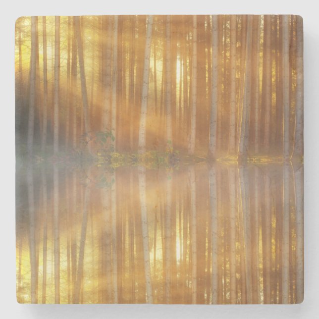 Posavasos De Piedra Escenario de Bosque Misty (Anverso)