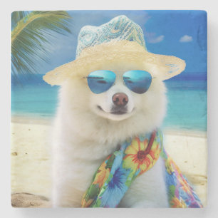 Posavasos De Piedra Eskimo Americano en la Playa, regalo de verano par