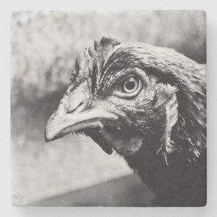 Posavasos De Piedra espíritus y pollos