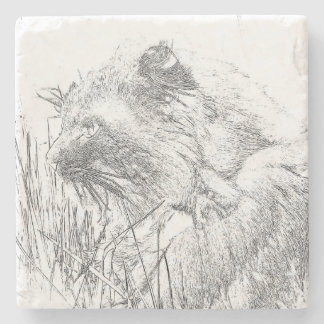 Posavasos De Piedra Esquema de perfil de Maine Coon Cat