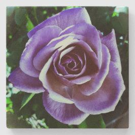 Posavasos De Piedra Estilo de diseño de arte de la escaparate de piedr