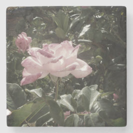 Posavasos De Piedra Estilo de diseño de arte de la escaparate de piedr