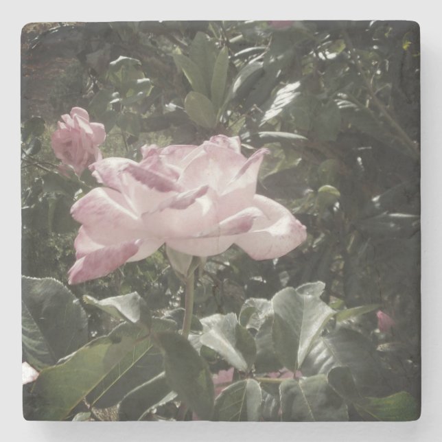 Posavasos De Piedra Estilo de diseño de arte de la escaparate de piedr (Anverso)