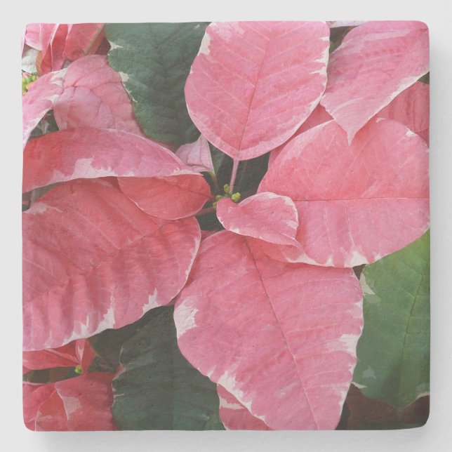 Posavasos De Piedra Estrella plateada de mármol Poinsettias Flor de va (Anverso)
