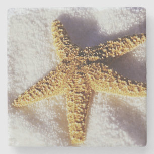 Posavasos De Piedra Estrellas de mar en una toalla