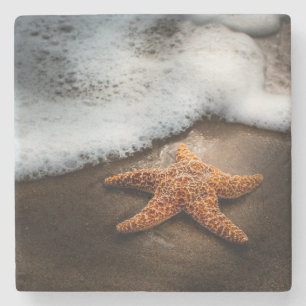 Posavasos De Piedra Estrellas de mar solas en la playa