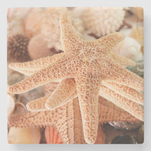 Posavasos De Piedra Estrellas marinas secas vendidas como souvenirs 2