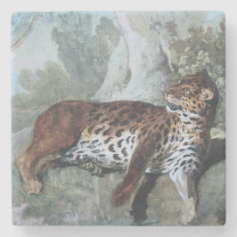 Posavasos De Piedra Estudio de un leopardo (por Jean-Baptiste Oudry)