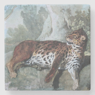 Posavasos De Piedra Estudio de un leopardo (por Jean-Baptiste Oudry)