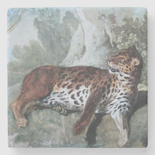 Posavasos De Piedra Estudio de un leopardo (por Jean-Baptiste Oudry) (Anverso)